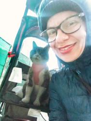 Lost Female Cat last seen Near marmion way L.a 90065, Los Angeles, CA 90065