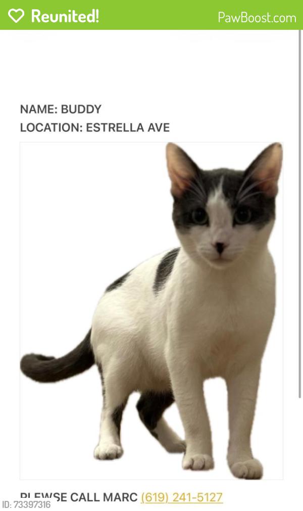 Reunited Male Cat last seen Estrella Ave and Loukelton Cir, San Diego, CA 92120