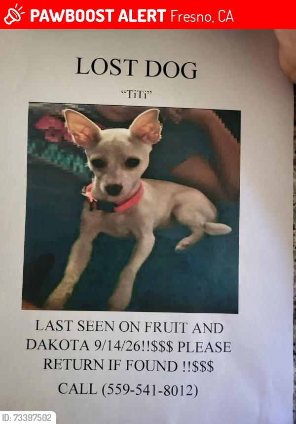 Lost Female Dog last seen Fruit and dakota, Fresno, CA 93705