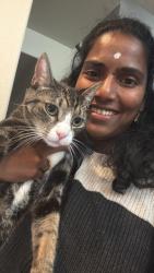 Reunited Male Cat last seen Balada way, Rancho Cordova, CA 95670