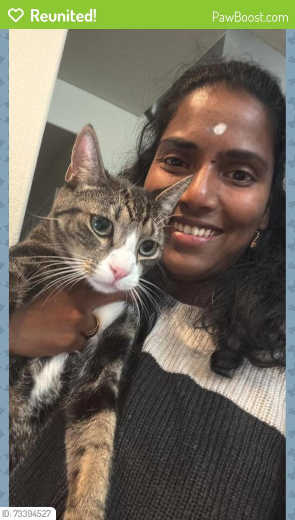 Reunited Male Cat last seen Balada way, Rancho Cordova, CA 95670