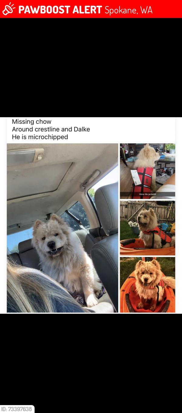 Lost Male Dog last seen Crestline and dalke, Spokane, WA 99212