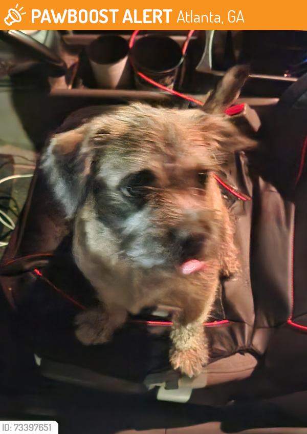 Found/Stray Unknown Dog last seen Outside the school, I almost hit them while they ran across the road. I was getting home really late around 3am. They're a really friendly dog i cant imagine a stray, Atlanta, GA 30318