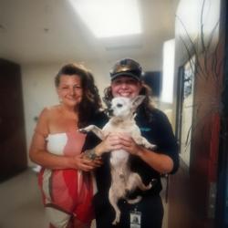 Lost Male Dog last seen towards the stop sign at the highway, Pittsburg, TX 75686