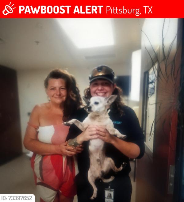 Lost Male Dog last seen towards the stop sign at the highway, Pittsburg, TX 75686