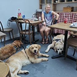 Reunited Male Dog last seen Running out of ingestre rd est, Greater London, England NW5 1XB