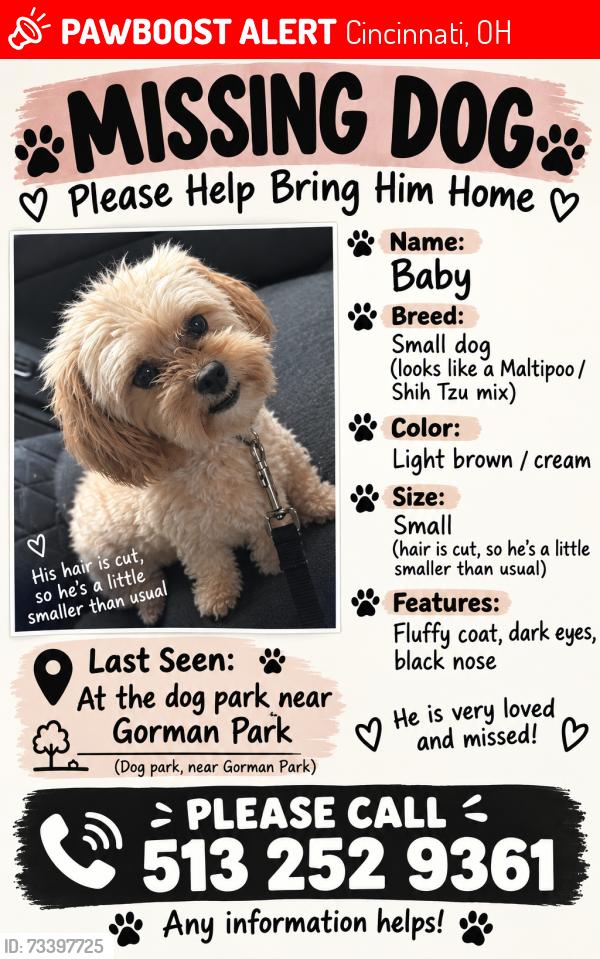Lost Male Dog last seen Algiers street, Cincinnati, OH 45246