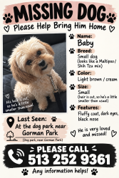 Lost Male Dog last seen Algiers street, Cincinnati, OH 45246