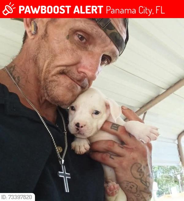 Lost Male Dog last seen 11th and 7th street, Panama City, FL 32401