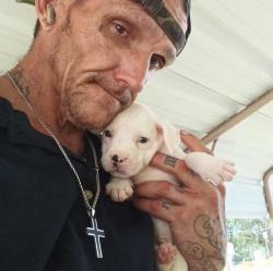 Lost Male Dog last seen 11th and 7th street, Panama City, FL 32401