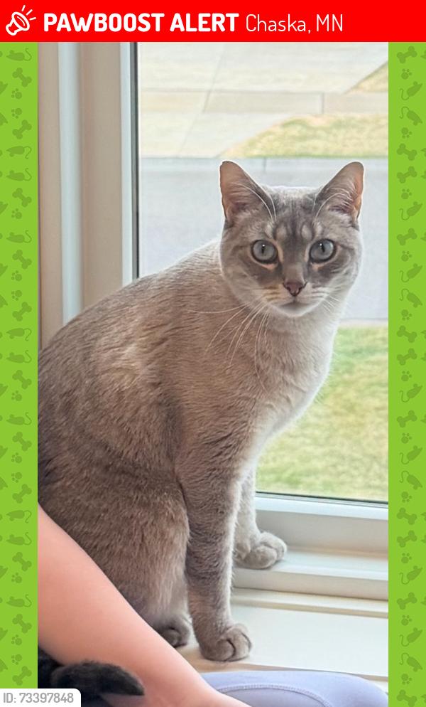 Lost Female Cat last seen Rolling Hills pkwy and Corral wy, Chaska, MN 55318