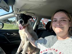 Lost Male Dog last seen 64/80, Wills Point, TX 75169