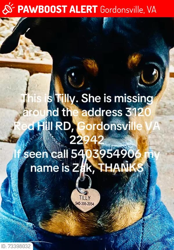 Lost Female Dog last seen Klockner Pentaplast, Gordonsville, VA 22942