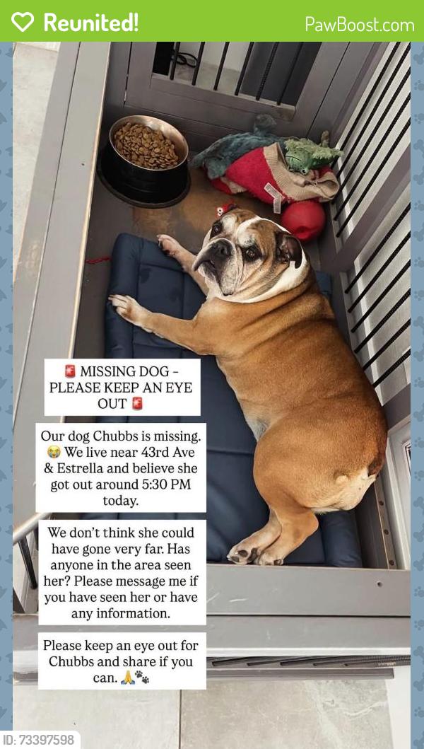 Reunited Female Dog last seen 43rd and estrella, Laveen, AZ 85339