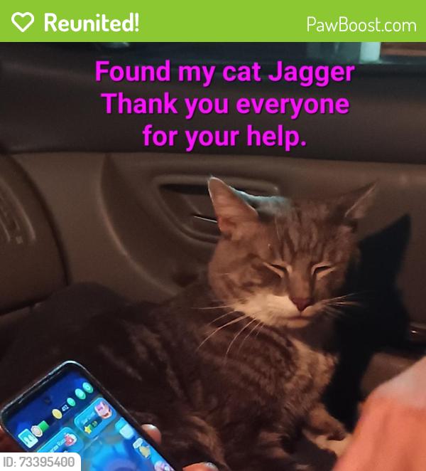 Reunited Male Cat last seen Near Akeen Court, Kent, WA 98030