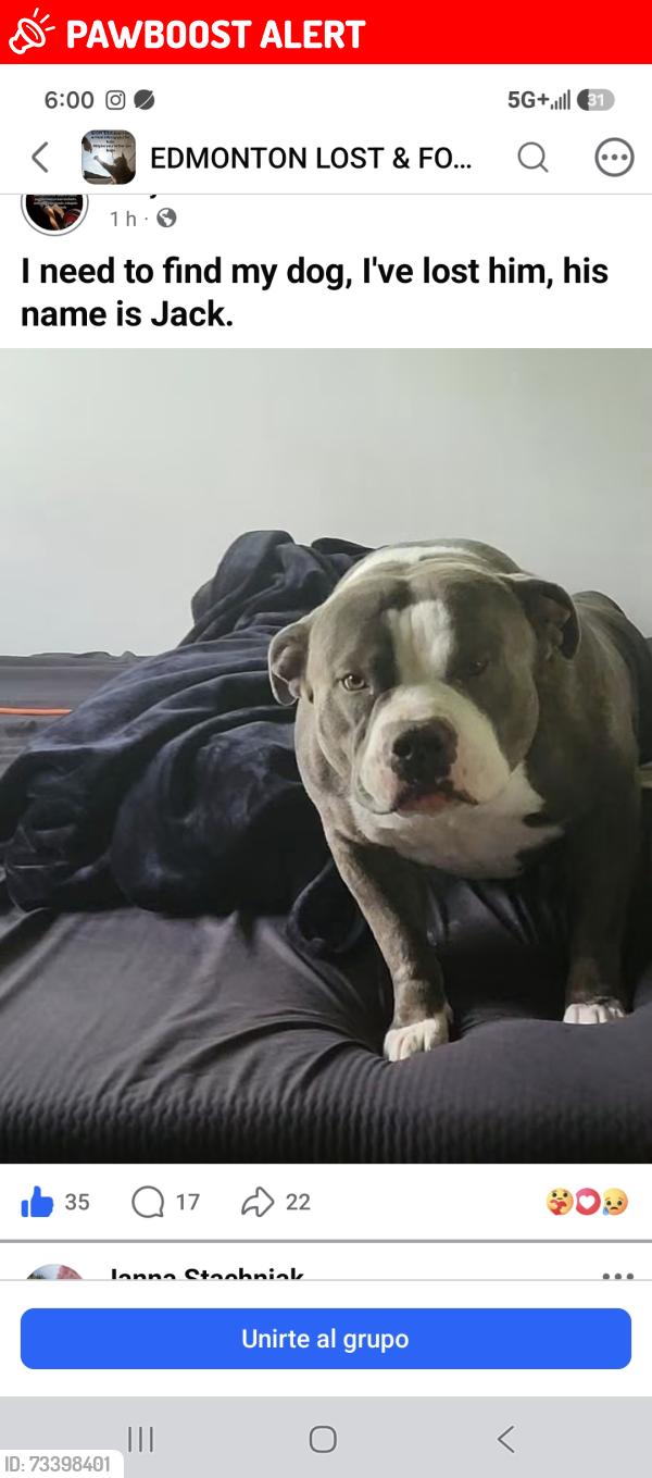 Lost Male Dog last seen Near avenue Beacon Higth area, Edmonton, AB T5W 2N6