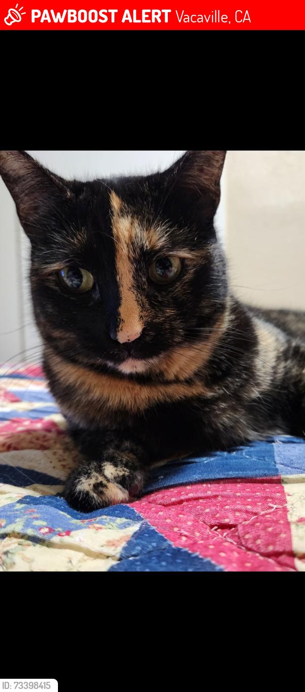 Lost Female Cat last seen Beelard dr, Vacaville, CA 95687