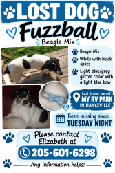 Lost Female Dog last seen My RV Park Hanceville, Hanceville, AL 35077