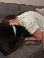 Reunited Male Dog last seen Melody Ln, La Mesa, CA 91942