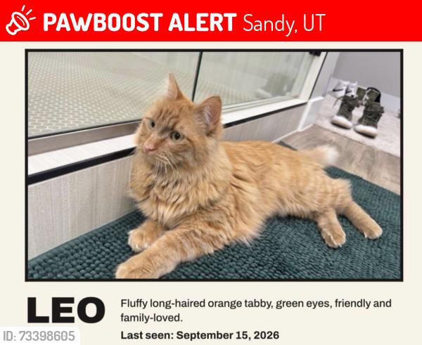 Lost Male Cat last seen Near East & E Pheasant Brook Rd, Sandy, UT 84092