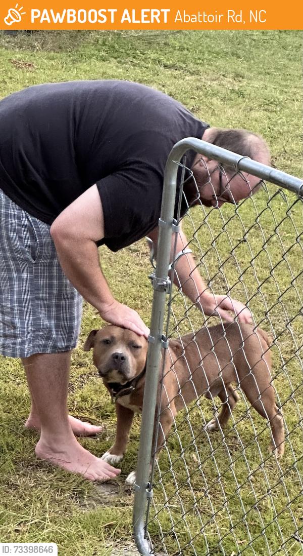 Found/Stray Male Dog last seen Abattoir rd, county line road, live oak rd, Abattoir Rd, NC 27521