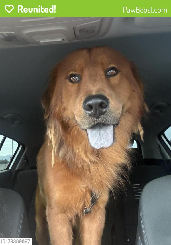 Reunited Male Dog last seen Laveen, Phoenix, AZ 85339