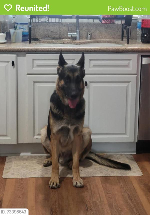 Reunited Male Dog last seen W Ramona Rd, Alhambra, CA, USA, Alhambra, CA 91803