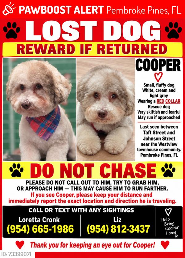 Lost Male Dog last seen Between Taft & Johnson west of Douglas road westview, Pembroke Pines, FL 33024