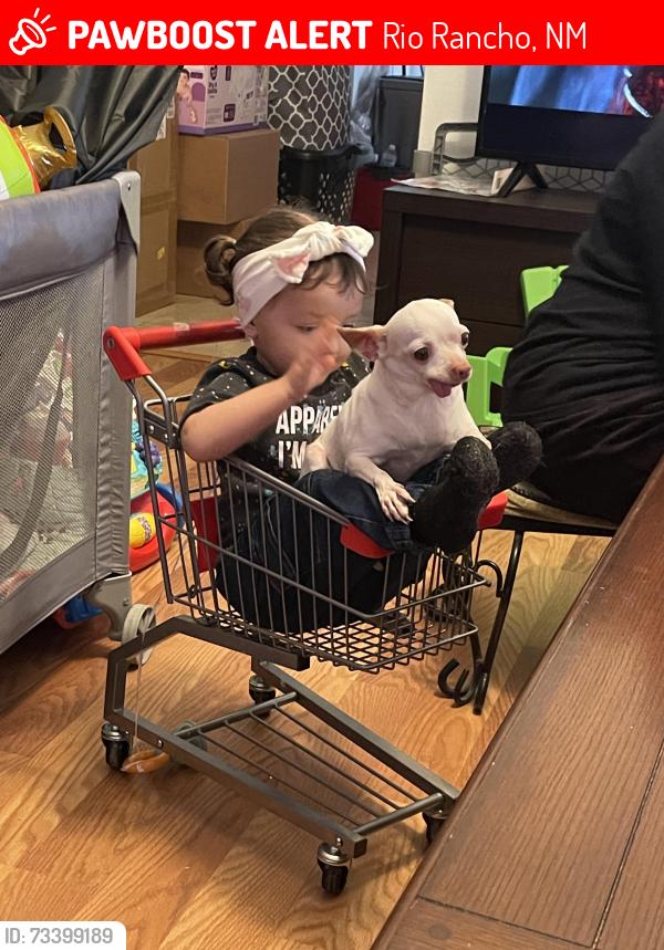 Lost Male Dog last seen Parr and Littler Dr SE, Rio Rancho, NM 87124