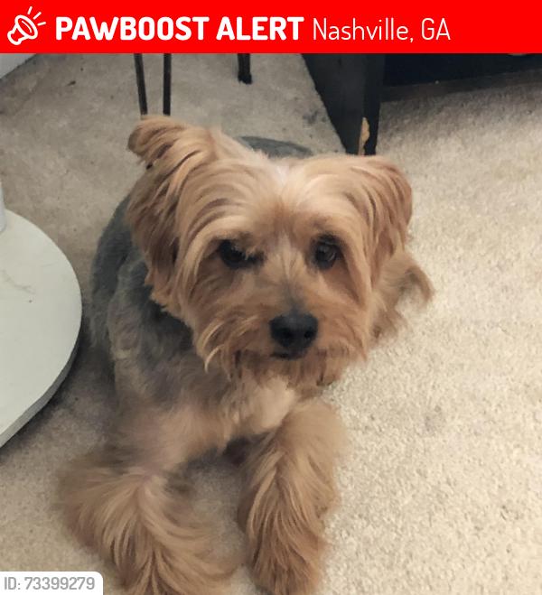 Lost Male Dog last seen Tifton hwy, Nashville, GA 31639