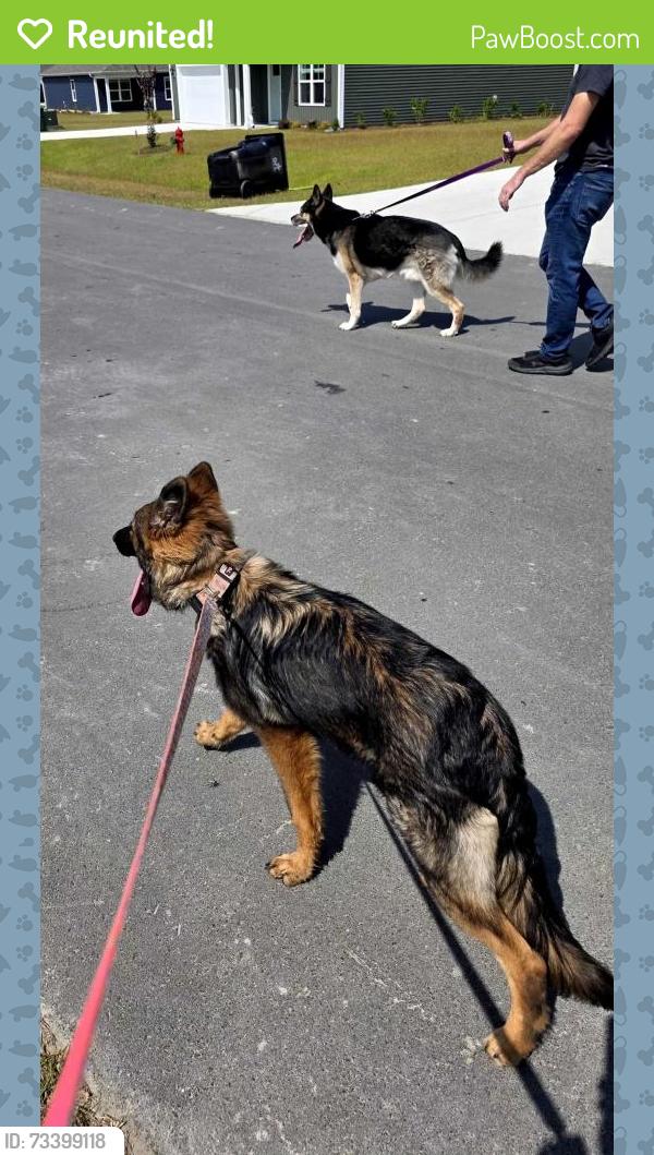 Reunited Unknown Dog last seen Piney green Fire Department, Jacksonville, NC 28546