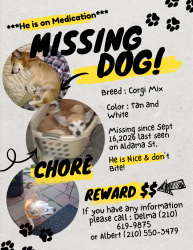 Lost Male Dog last seen Aldama and General McMullen, San Antonio, TX 78237