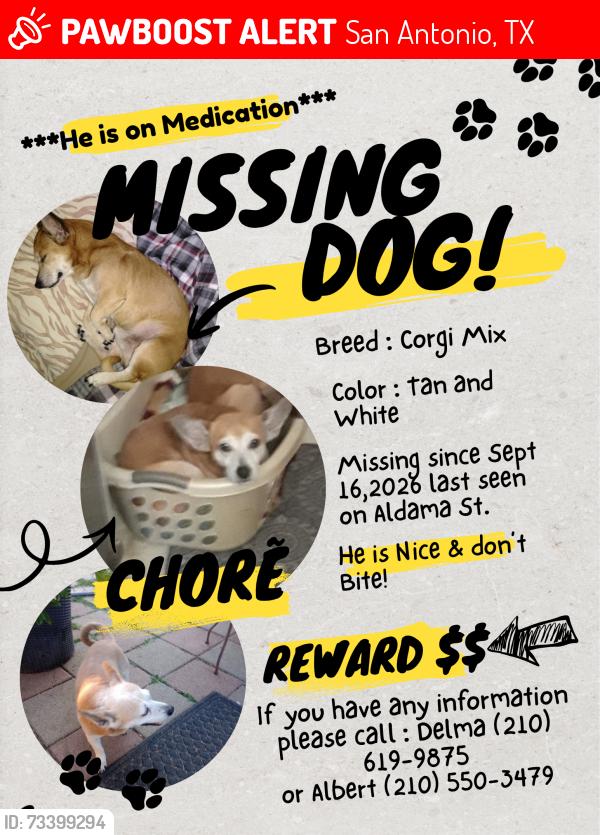 Lost Male Dog last seen Aldama and General McMullen, San Antonio, TX 78237