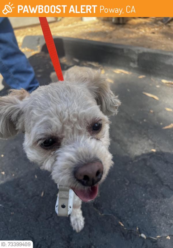 Found/Stray Male Dog last seen Orchard bend / rostrada, Poway, CA 92064