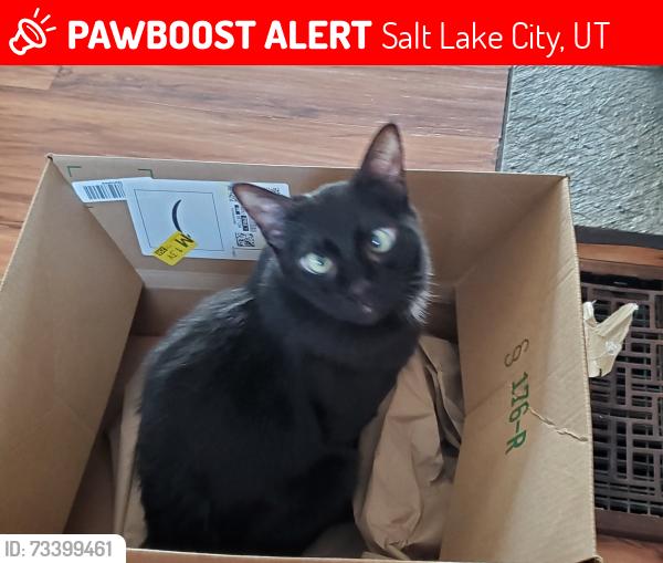 Lost Male Cat last seen Near E Kenton Drive, Salt Lake City, UT 84109