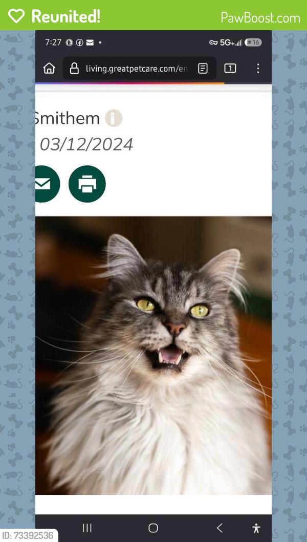 Reunited Female Cat last seen Weir & richard rd, Village Green, PA 19014