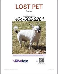 Lost Male Dog last seen Hill Crest At Brookhaven, Atlanta, GA 30329