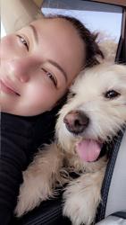 Reunited Male Dog last seen 89th Ave and MOUNTAINVIEW RD., Peoria, AZ 85345