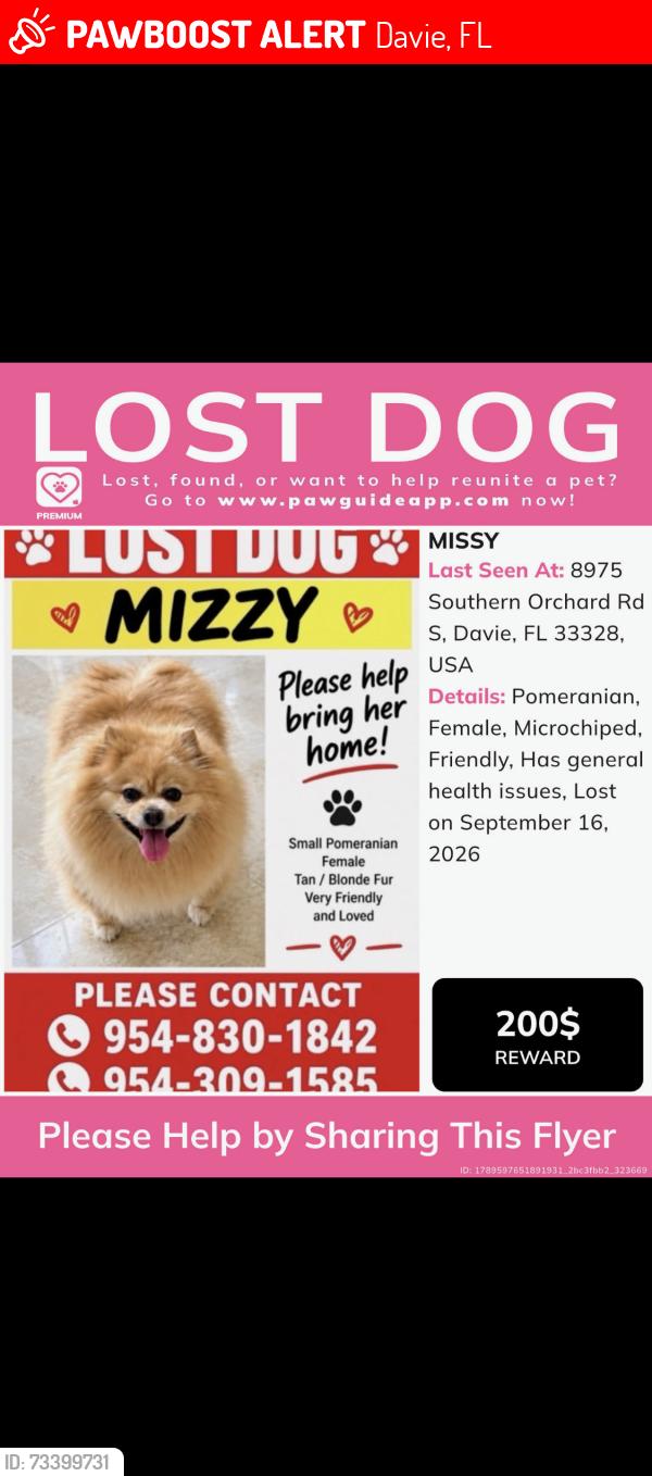 Lost Female Dog last seen orchard st, Davie, FL 33328