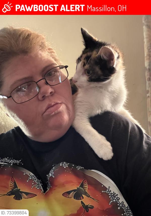 Lost Female Cat last seen Perry ave sw by oak knoll park in Massillon Ohio sw, Massillon, OH 44647