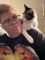 Lost Female Cat last seen Perry ave sw by oak knoll park in Massillon Ohio sw, Massillon, OH 44647