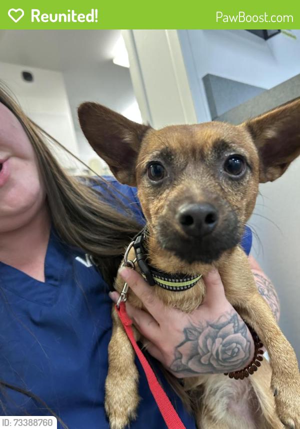 Reunited Male Dog last seen NE 127th Between Glisan & Halsey, Portland, OR 97230