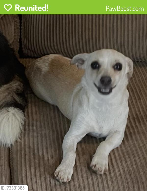 Reunited Female Dog last seen Lakewood Farmingdale Road, Howell Township, NJ 07731