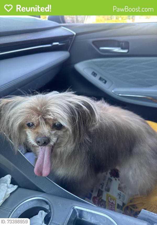 Reunited Female Dog last seen Last seen bishop place Westminster, Westminster, CA 92683