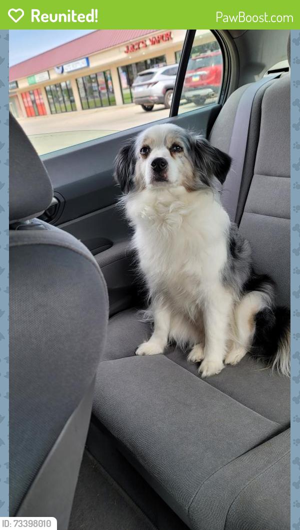 Reunited Female Dog last seen Saratoga, Corpus Christi, TX 78413