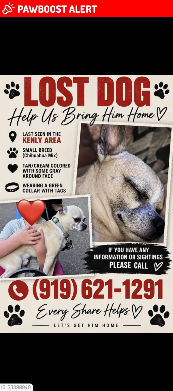 Lost Male Dog last seen Peacock lane kenly, Johnston County, NC 27542