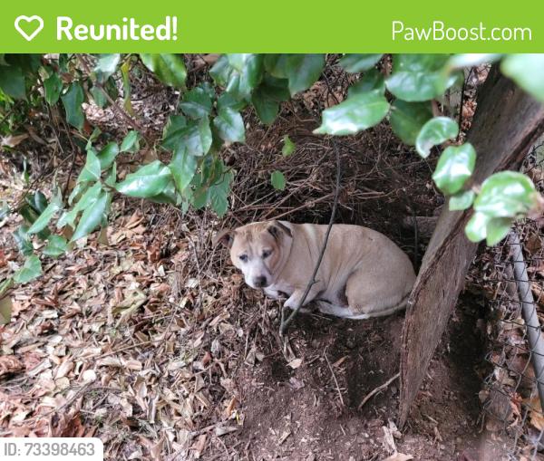 Reunited Unknown Dog last seen NE 80th Jonesmore, Portland, OR 97213