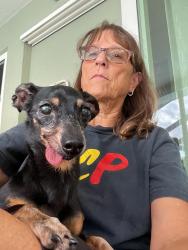 Found/Stray Female Dog last seen Santa Barbara, Cape Coral, FL 33991