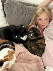 Lost Female Cat last seen Swick Park, Saskatoon, SK S7V 0A7