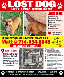 Reunited Female Dog last seen Western, Stanton, CA 90680